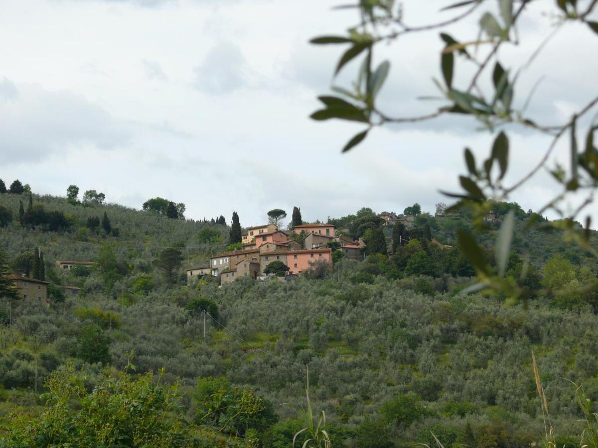 Antica Bottega Di Vinci Bed & Breakfast Exterior photo