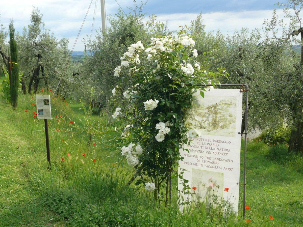 Antica Bottega Di Vinci Bed & Breakfast Exterior photo